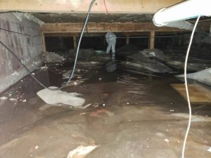 Affordable Water Damage Restoration Services Near Me for Emergency Cleanup