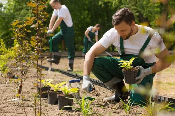 Transform Your Outdoor Space with Landscaping Services in Winfield PA